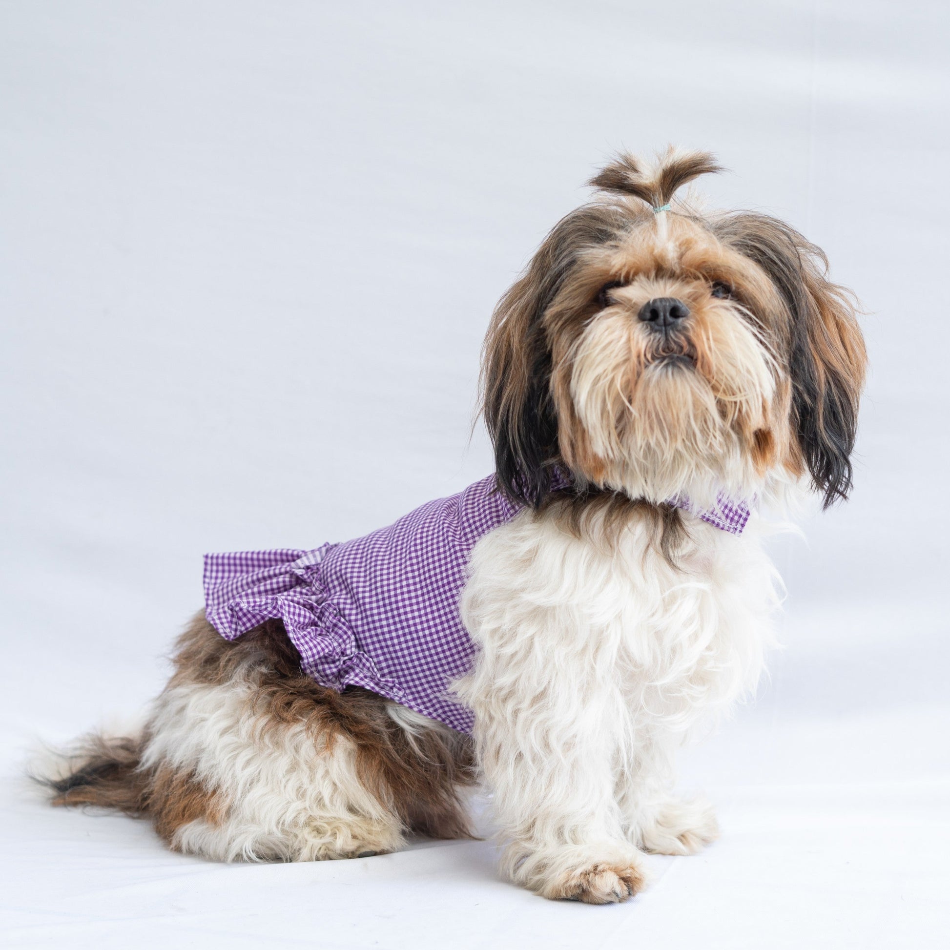 Purple Strapy Summer Dress for Dogs | Pawgy Pets Purple Strapy Summer Dress for Dogs | Pawgy Pets