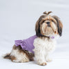 Purple Strappy Summer Dress | For Dogs | Pawgy Pets