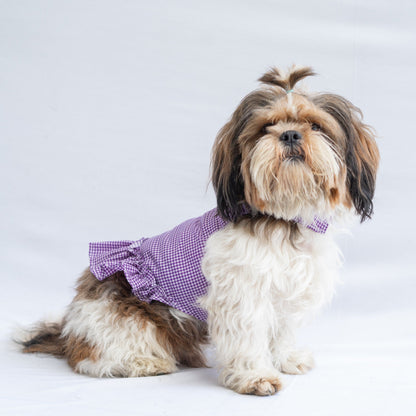 Purple Strappy Summer Dress | For Dogs | Pawgy Pets