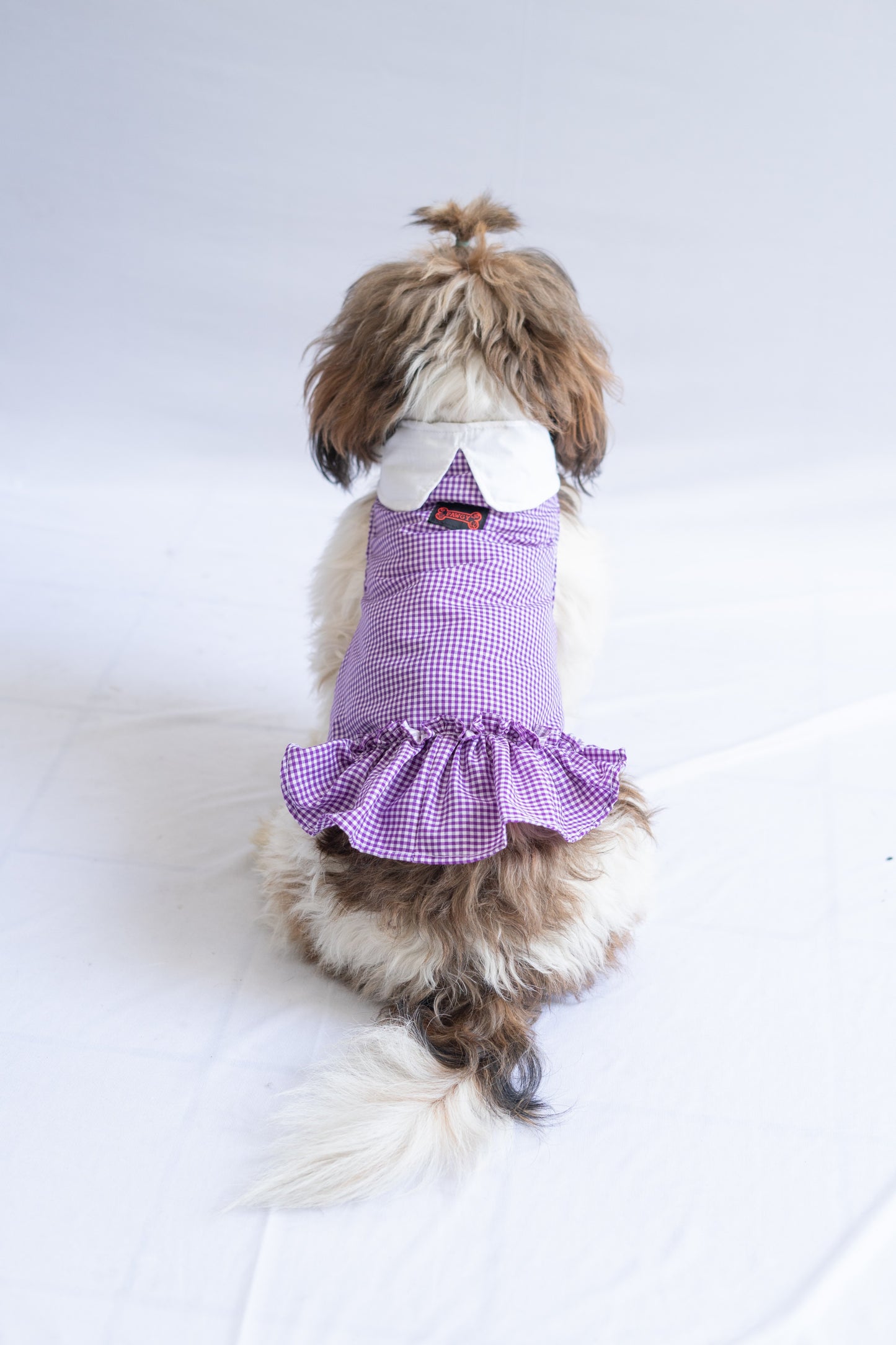 Purple Strappy Summer Dress | For Dogs | Pawgy Pets