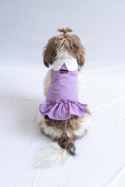 Purple Strappy Summer Dress | For Dogs | Pawgy Pets