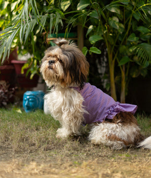 Strapy Summer dress: Purple