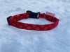 Red Occasion Wear Collar | For Dogs | Pawgy Pets