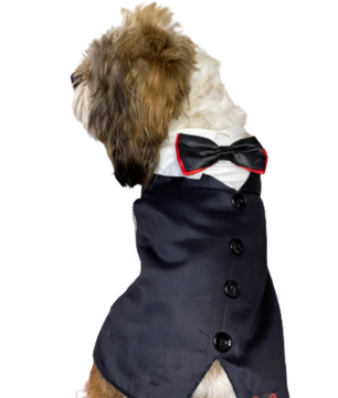 Pawgy Pets Reversed Tuxedo: Black, Blue, Red for Dogs & Cats