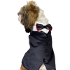 Reversed Tuxedo | For Dogs & Cats | Pawgy Pets