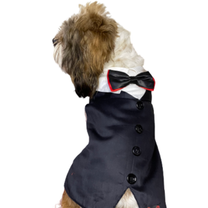 Reversed Tuxedo | For Dogs & Cats | Pawgy Pets