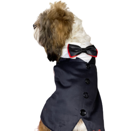 Pawgy Pets Reversed Tuxedo: Black, Blue, Red for Dogs & Cats