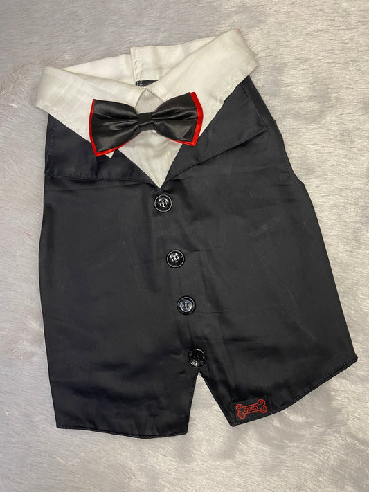 Pawgy Pets Reversed Tuxedo: Black, Blue, Red for Dogs & Cats
