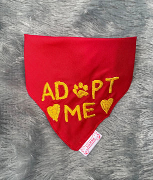 Pawgy Pets Adopt me please for Dogs & Cats