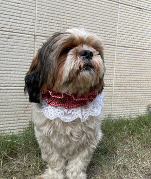 Pawgy Pets Frilly Bandana:Red for Dogs & Cats