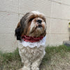Pawgy Pets Frilly Bandana:Red for Dogs & Cats