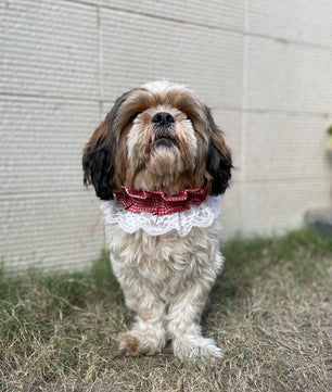 Pawgy Pets Frilly Bandana:Red for Dogs & Cats