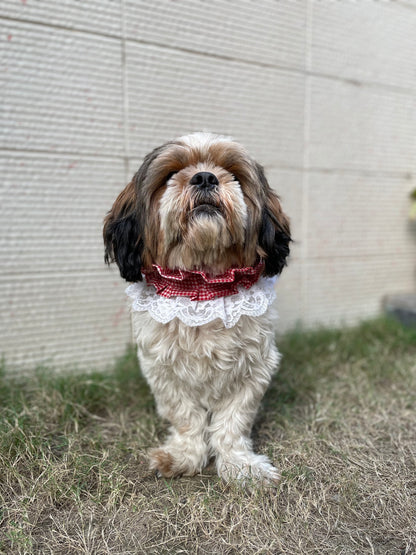 Pawgy Pets Frilly Bandana:Red for Dogs & Cats