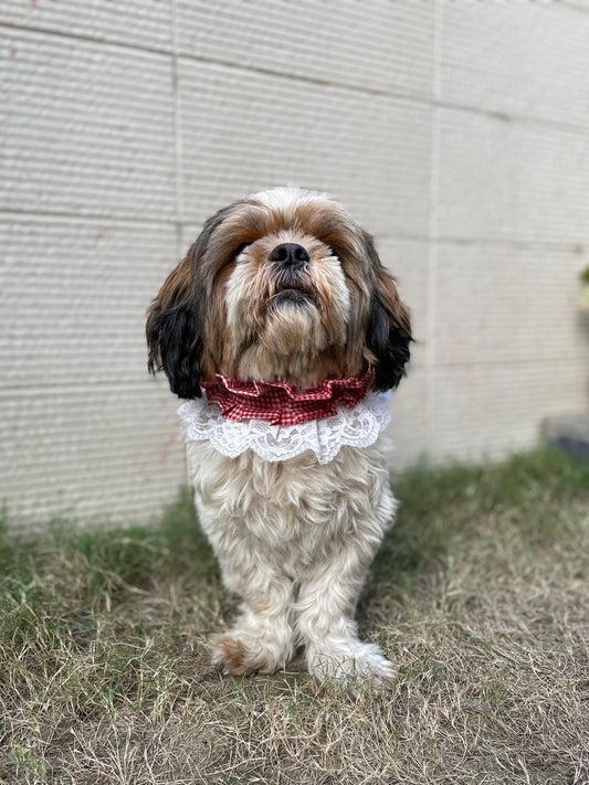 Pawgy Pets Frilly Bandana:Red for Dogs & Cats