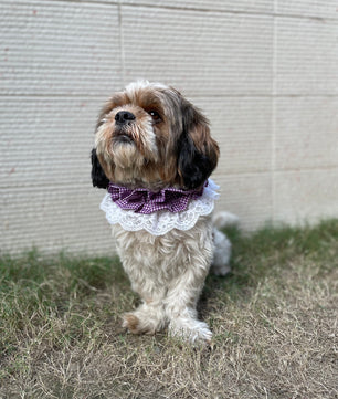 Pawgy Pets Frilly Bandana: Purple for Dogs & Cats