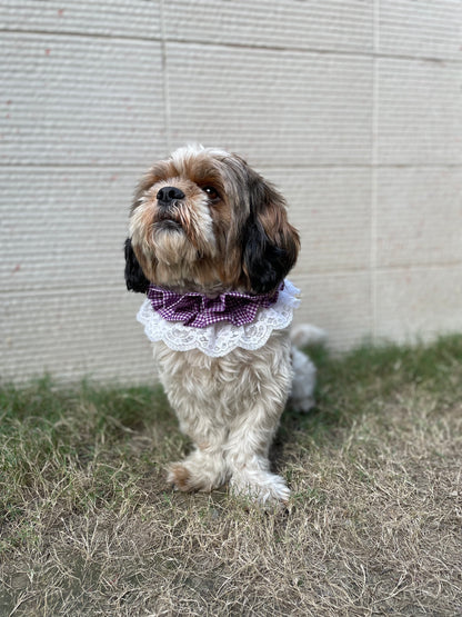 Pawgy Pets Frilly Bandana: Purple for Dogs & Cats
