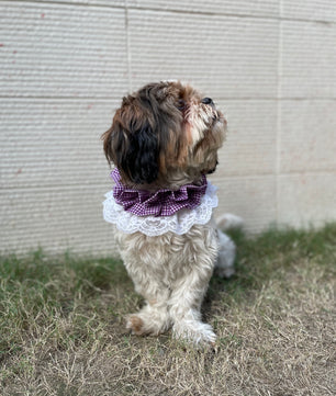 Pawgy Pets Frilly Bandana: Purple for Dogs & Cats