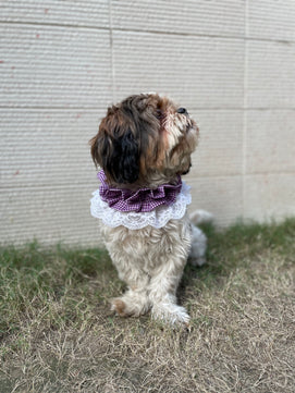 Pawgy Pets Frilly Bandana: Purple for Dogs & Cats