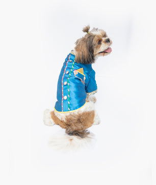 Pawgy Pets Raw Silk Sherwani: Blue for Dogs
