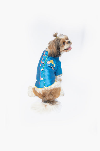 Blue Raw Silk Sherwani | For Dogs | Pawgy Pets