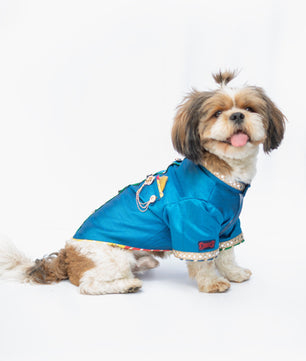 Pawgy Pets Raw Silk Sherwani: Blue for Dogs