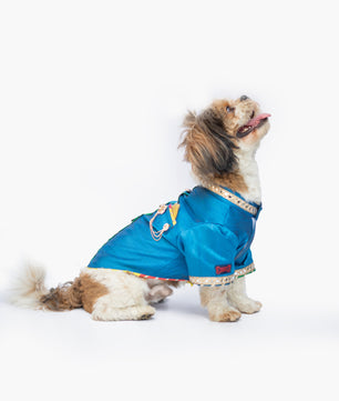 Pawgy Pets Raw Silk Sherwani: Blue for Dogs