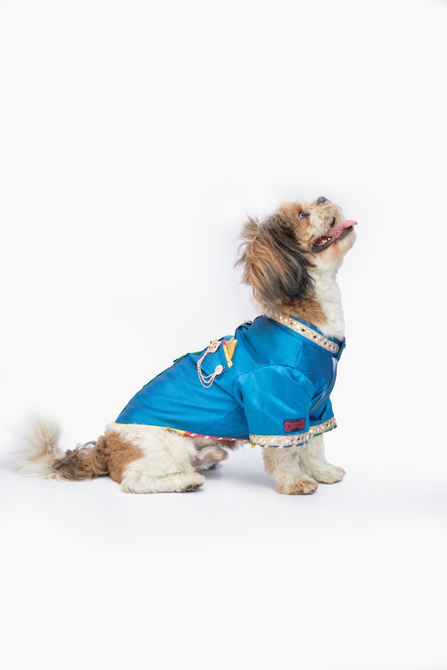 Pawgy Pets Raw Silk Sherwani: Blue for Dogs