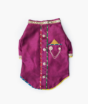 Pawgy Pets Raw Silk Sherwani: Rani for Dogs
