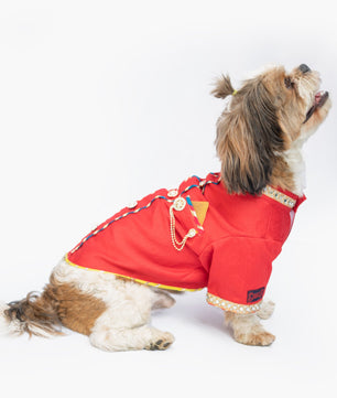 Pawgy Pets Raw Silk Sherwani: Rani for Dogs