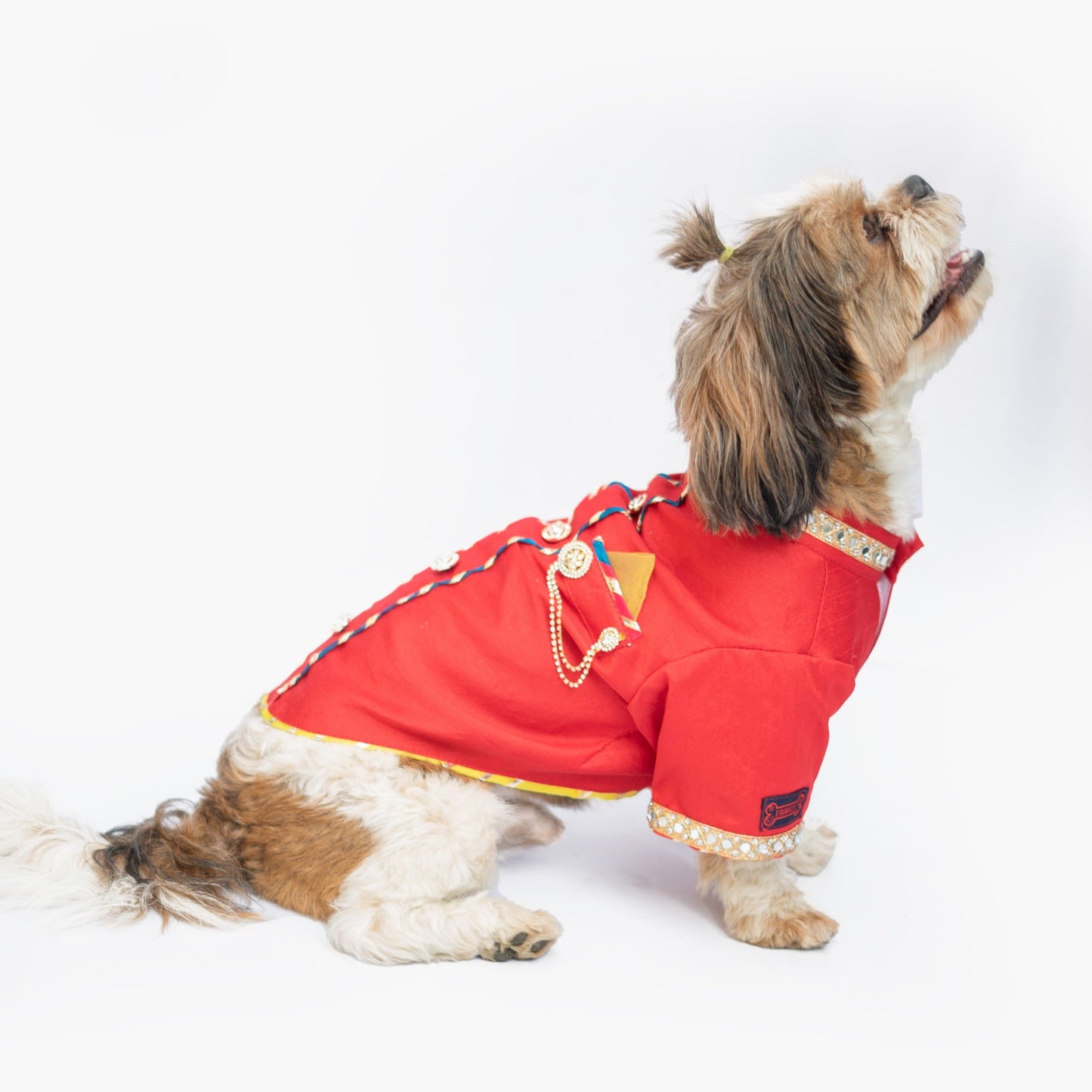 Rani Raw Silk Sherwani | For Dogs | Pawgy Pets