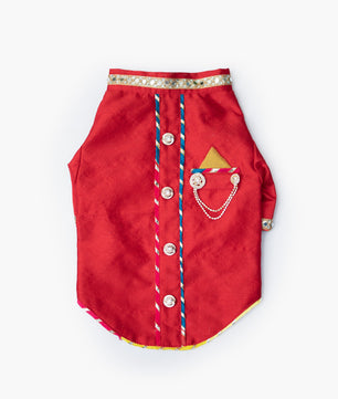 Pawgy Pets Raw Silk Sherwani: Rani for Dogs