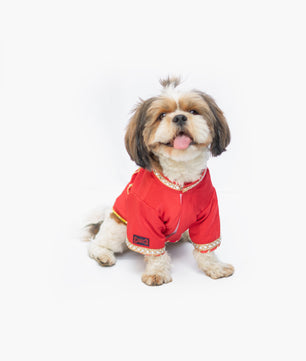 Pawgy Pets Raw Silk Sherwani: Rani for Dogs
