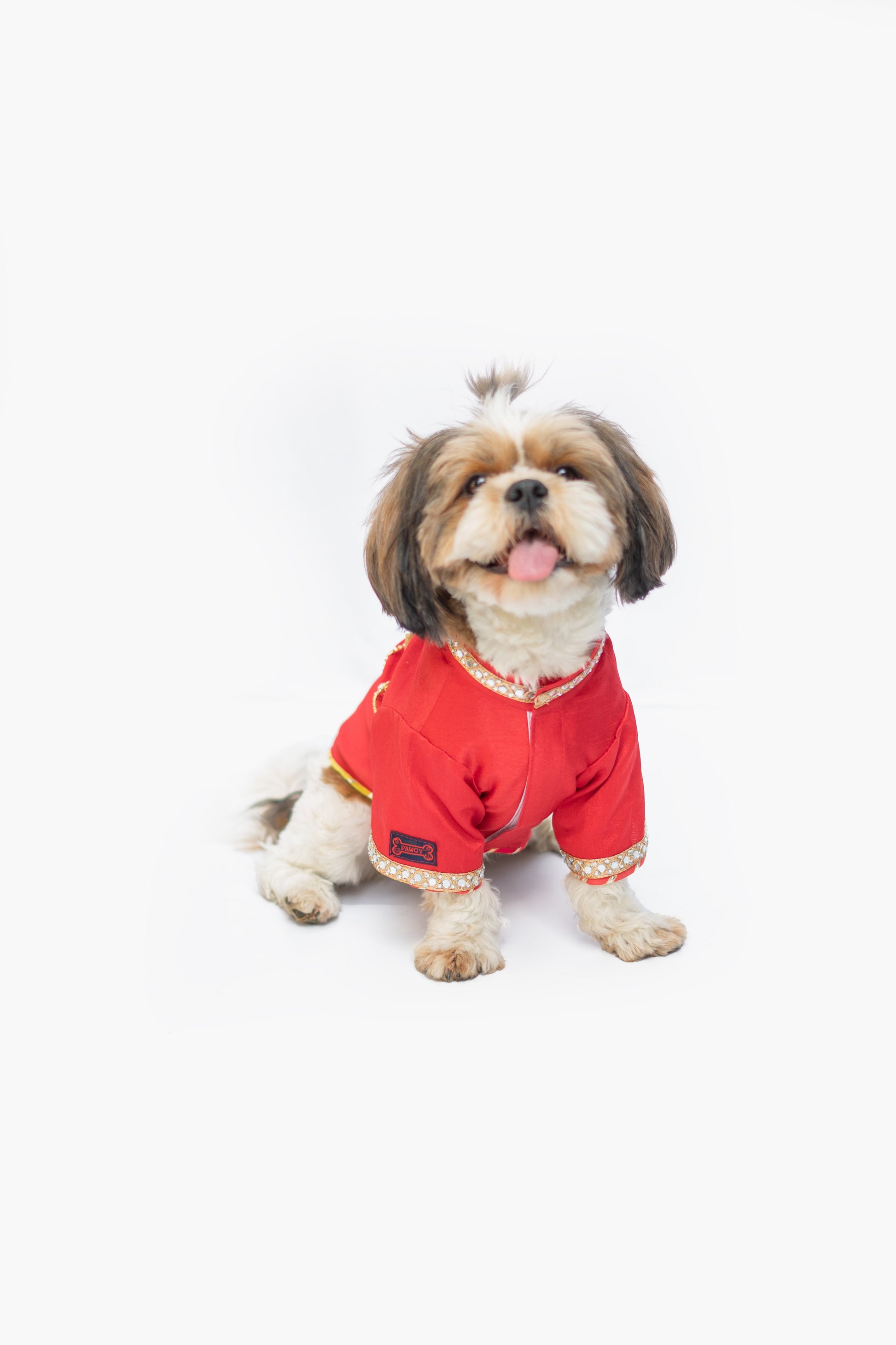 Pawgy Pets Raw Silk Sherwani: Red for Dogs