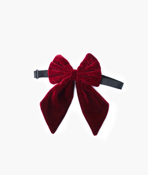 Pawgy Pets Pigtail Bowtie: Maroon for Dogs & Cats