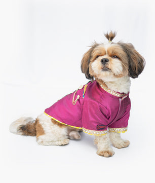 Pawgy Pets Raw Silk Sherwani: Rani for Dogs