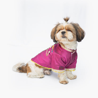 Rani Raw Silk Sherwani | For Dogs | Pawgy Pets