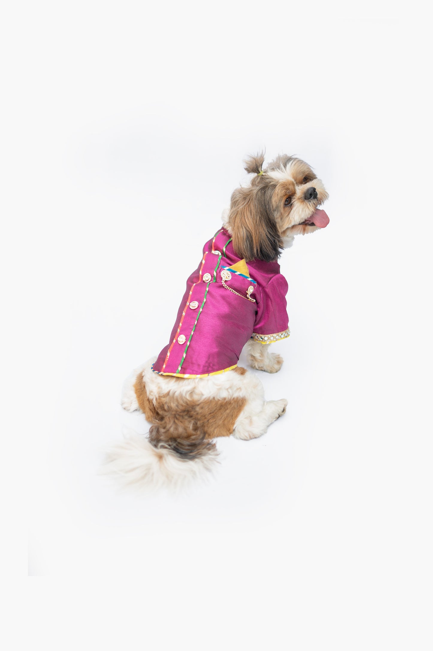 Rani Raw Silk Sherwani | For Dogs | Pawgy Pets