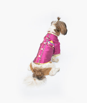 Pawgy Pets Raw Silk Sherwani: Rani for Dogs