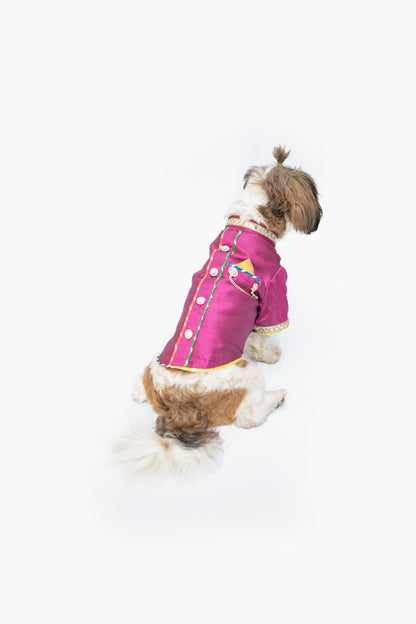 Rani Raw Silk Sherwani | For Dogs | Pawgy Pets