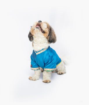 Pawgy Pets Raw Silk Sherwani: Blue for Dogs