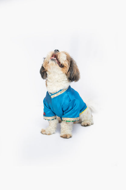 Blue Raw Silk Sherwani | For Dogs | Pawgy Pets