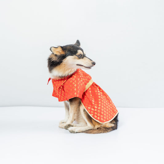 Pawgy Pets Occasion wear Dress Red for Dogs