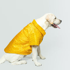 Pawgy Pets Occasion wear shirt Yellow for Dogs