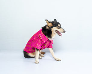 Pawgy Pets Occasion wear shirt Pink for Dogs