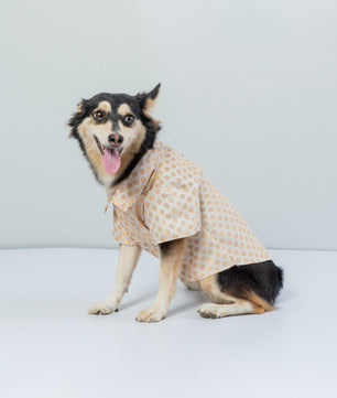 Pawgy Pets Occasion wear shirt White for Dogs