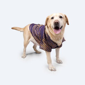 Navy Blue Occasion Wear Shirt | For Dogs | Pawgy Pets