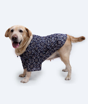 Pawgy Pets Bandhej Shirt: Blue for Dogs