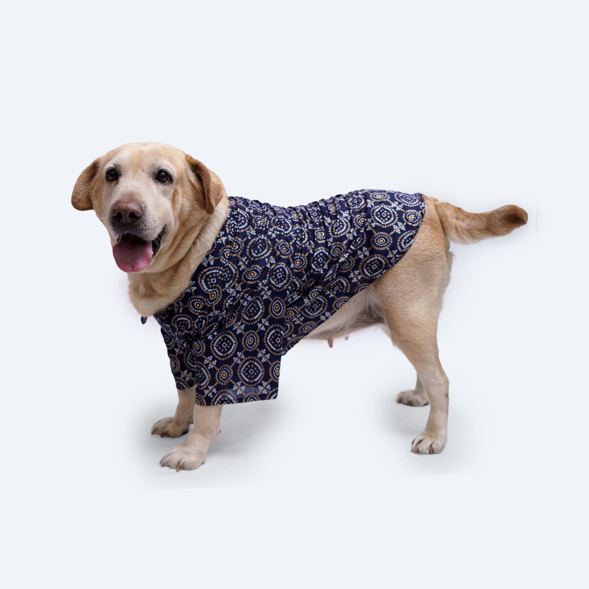 Pawgy Pets Bandhej Shirt: Blue for Dogs