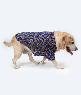 Pawgy Pets Bandhej Shirt: Blue for Dogs