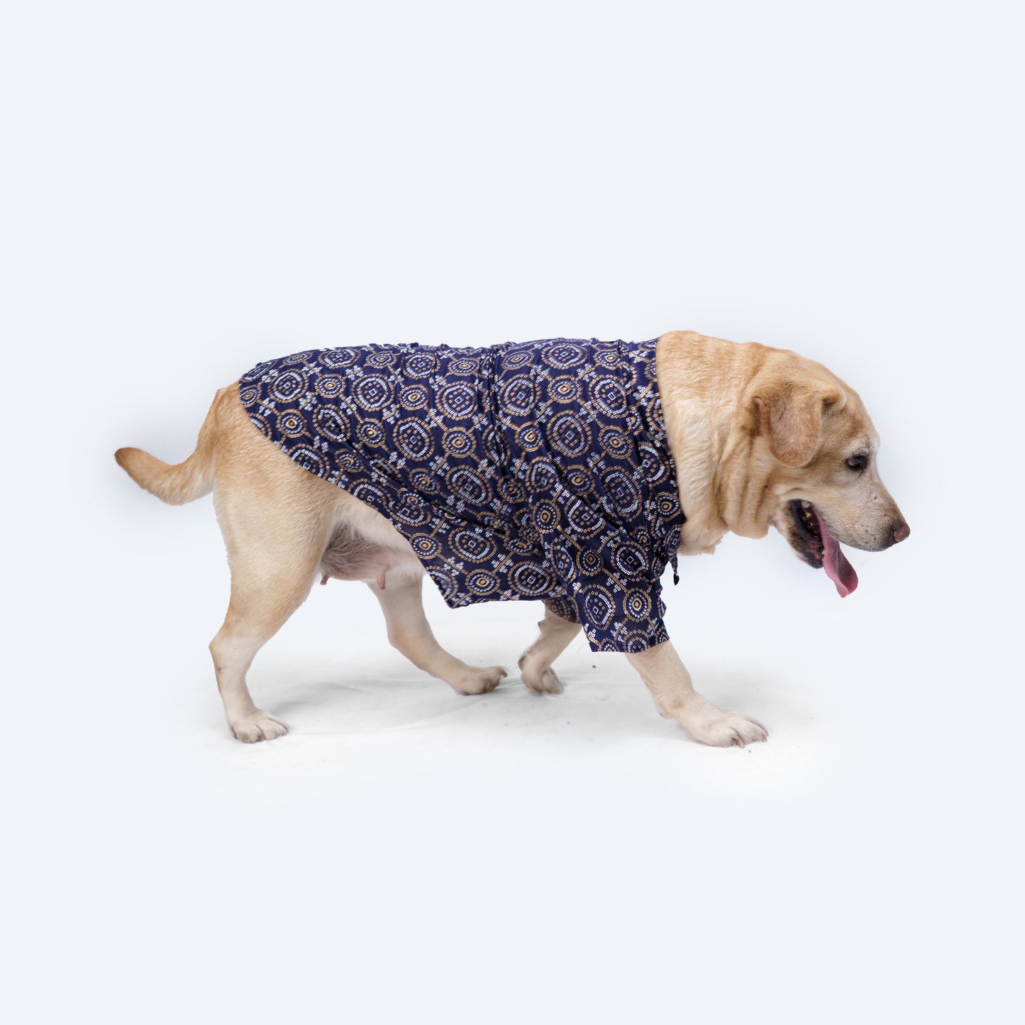 Pawgy Pets Bandhej Shirt: Blue for Dogs